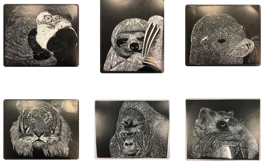 Scratch Art