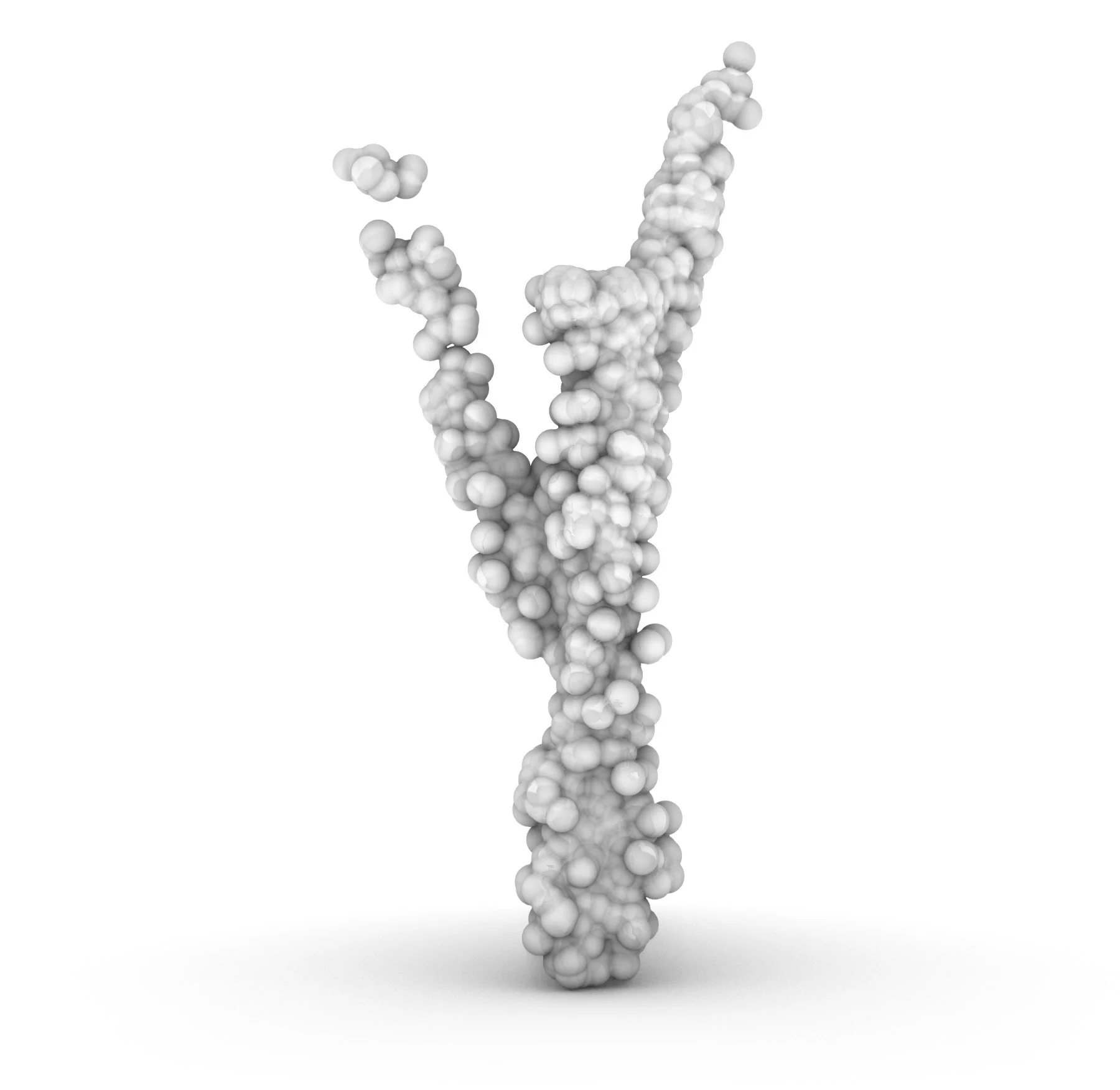 Biomineralization_volRender-06.jpg