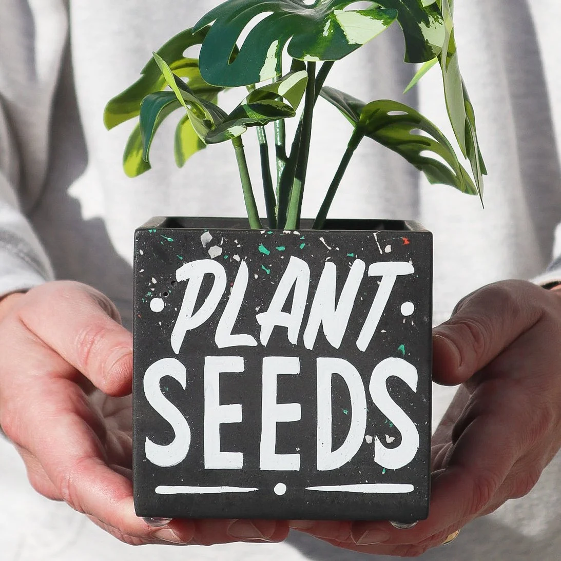 SquarePot_PlantSeeds-1.jpg