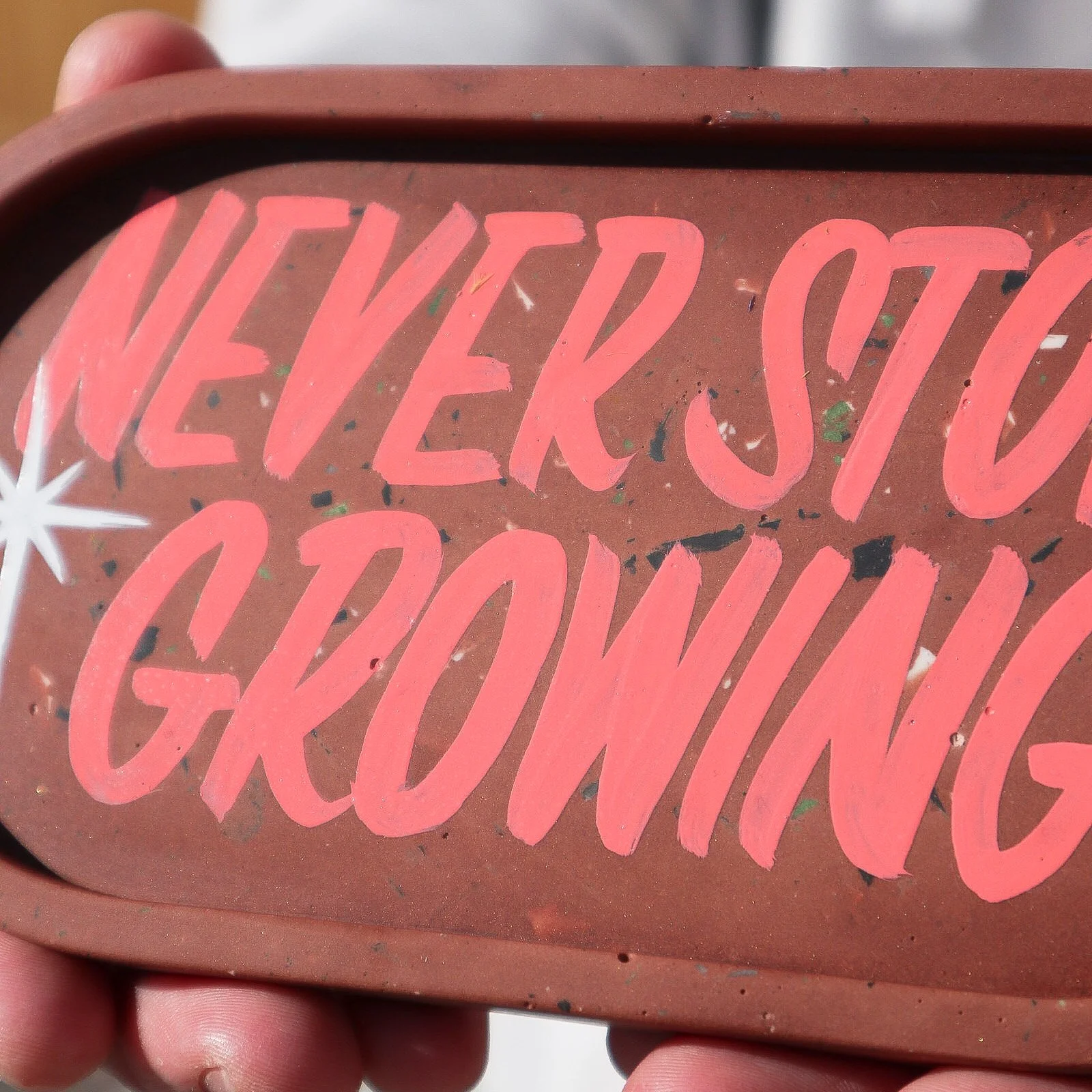 Tray_NeverStopGrowing-3.jpg