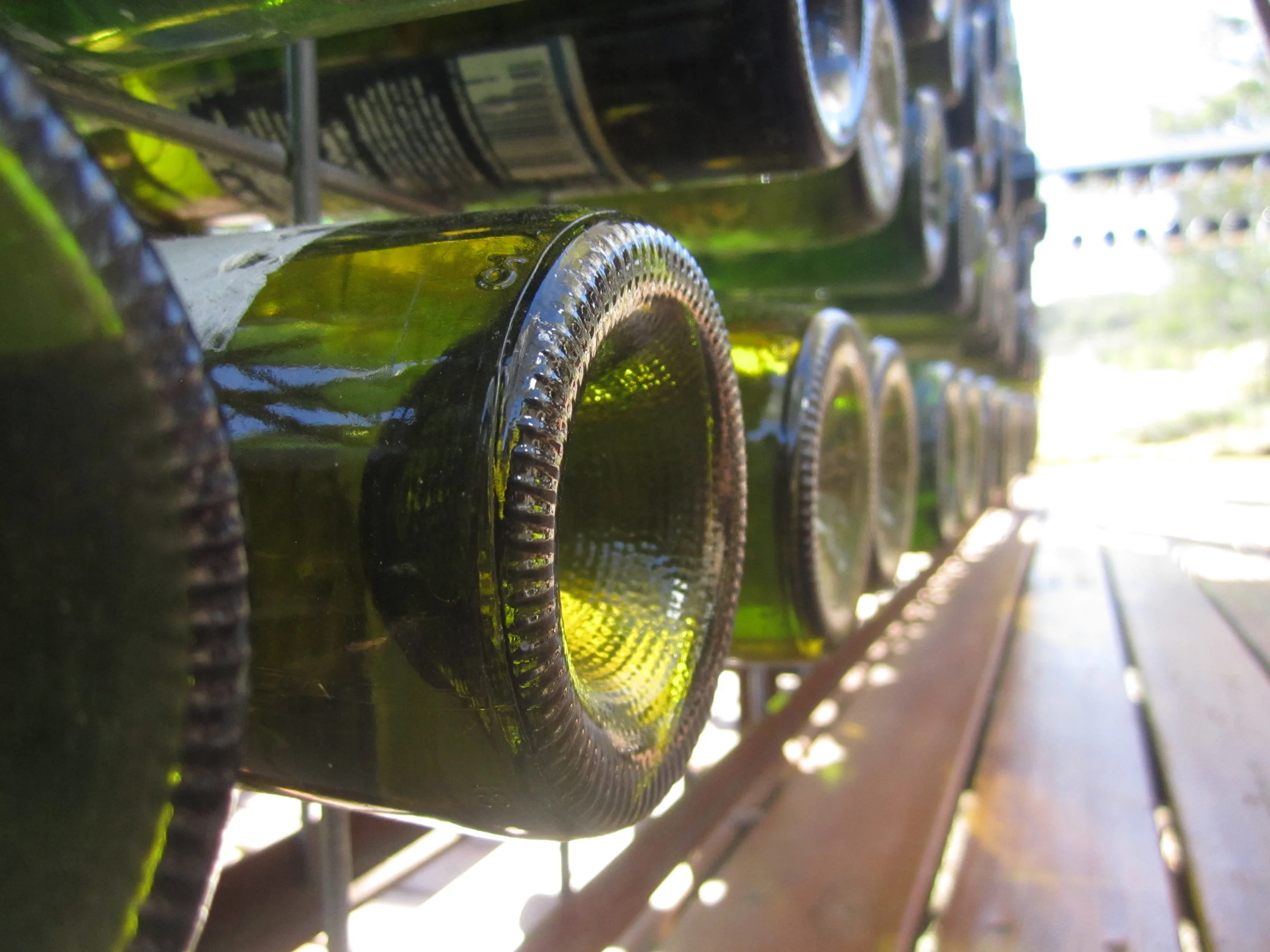 Explore our Wines
