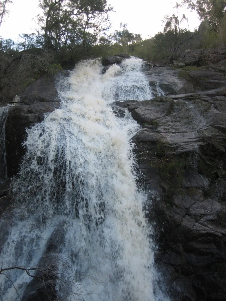 Flyfaire Wines Waterfall.JPG