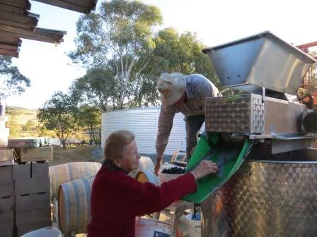 Nana works the de-stemmer for the Merlot