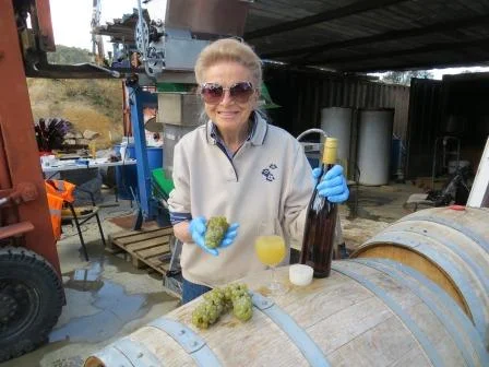 Nana Samples 2013 Riesling