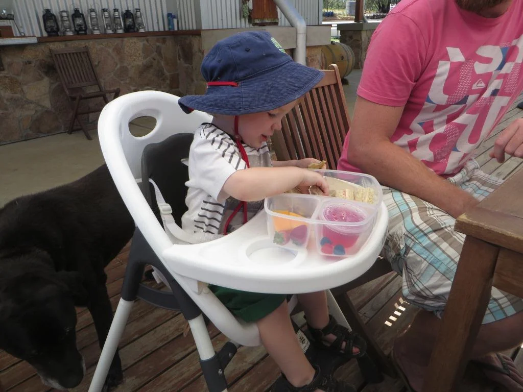 Kids' Lunch Box Kits