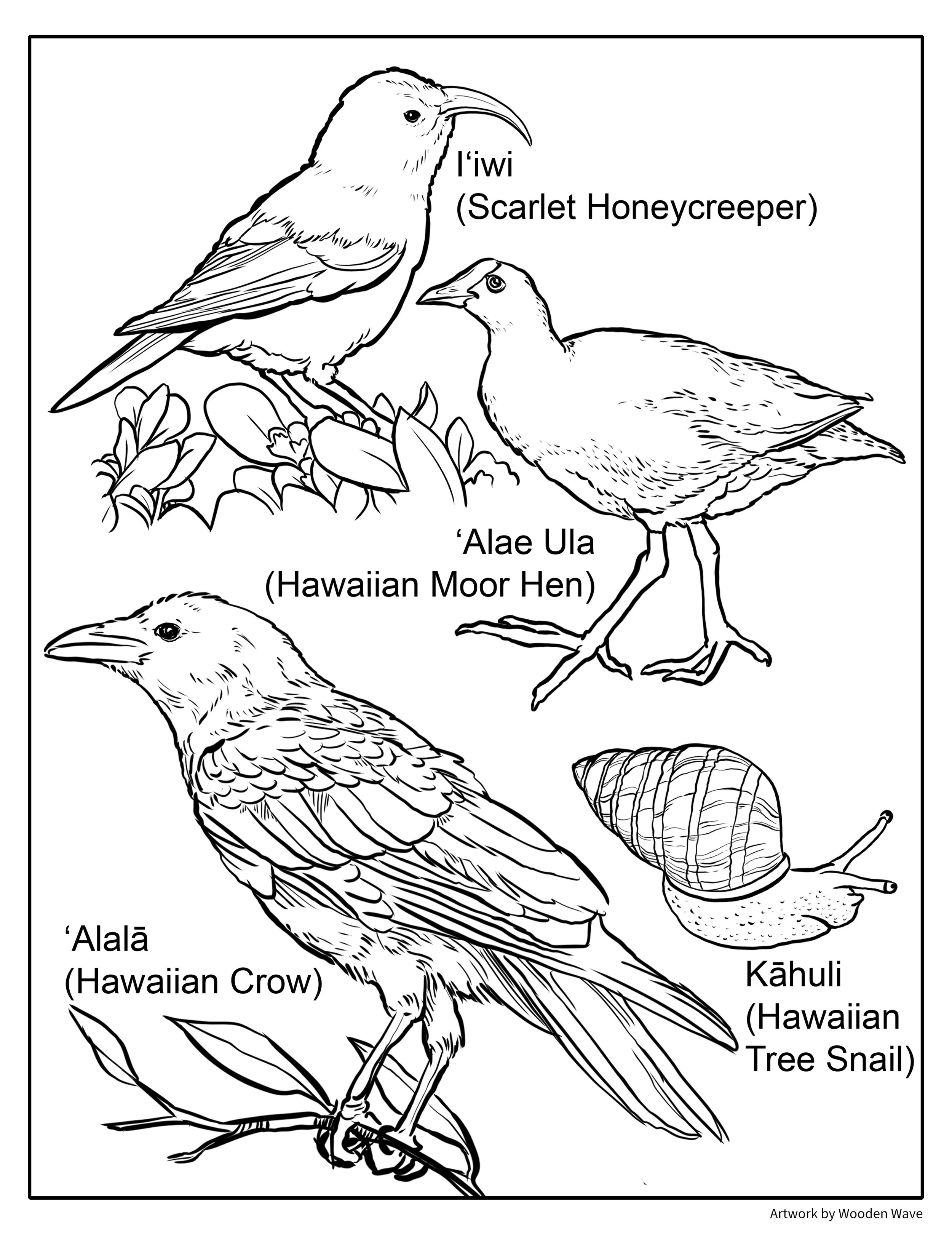 Land-animals-2_Coloring-Page.jpg