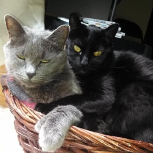 Smokey and Alexi