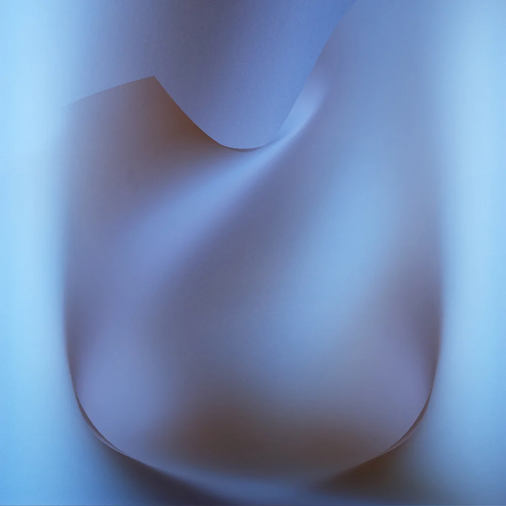 Beal_08.jpg