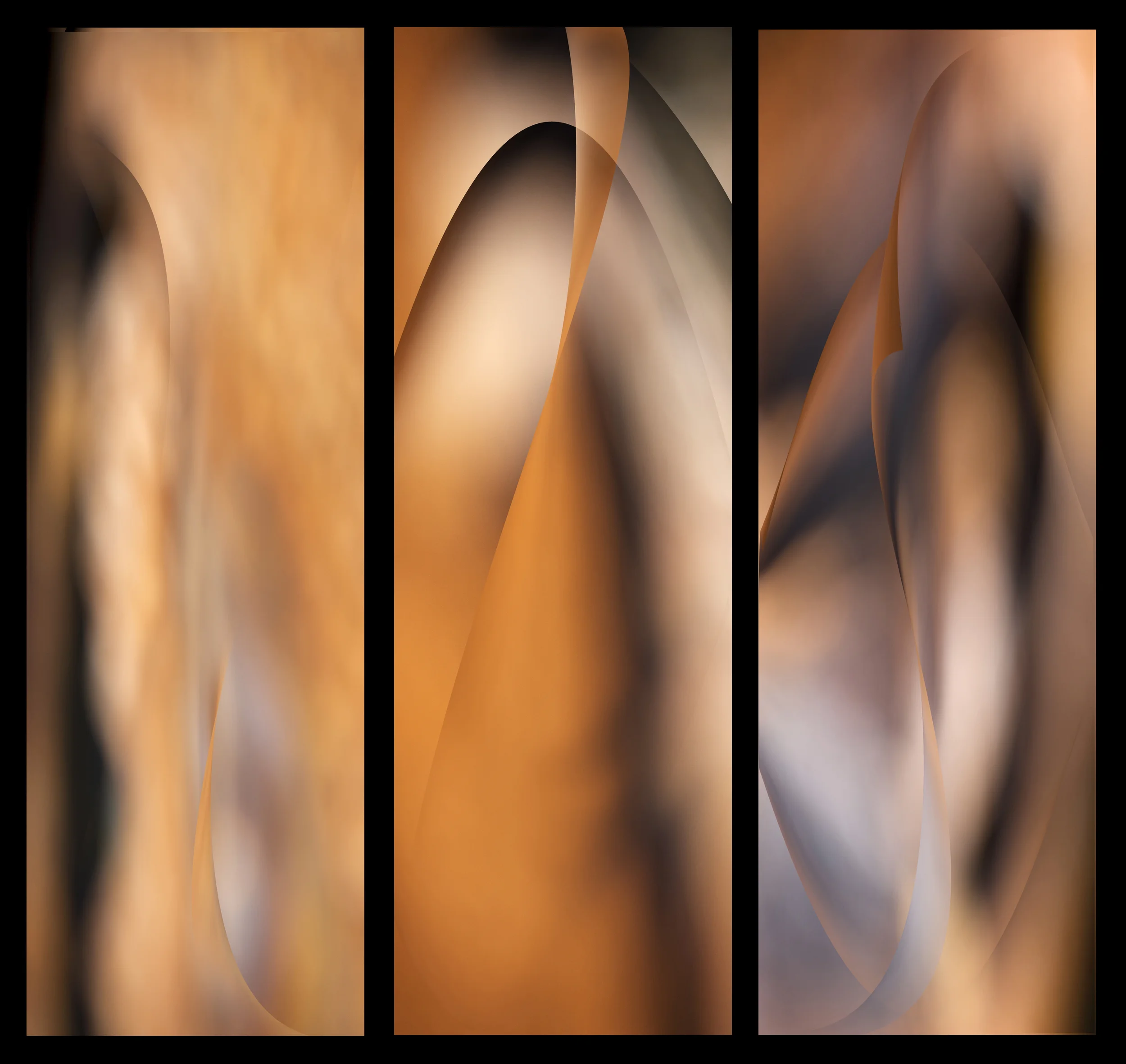 04-lucid-27.jpg