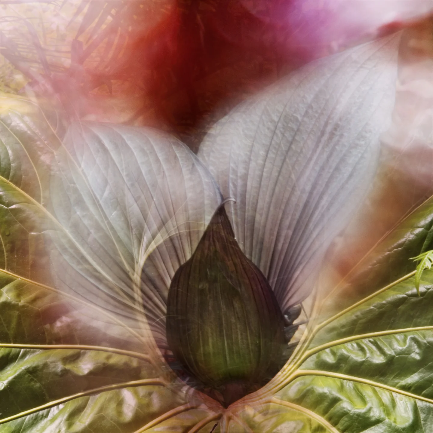 03-Hawaii-05.jpg