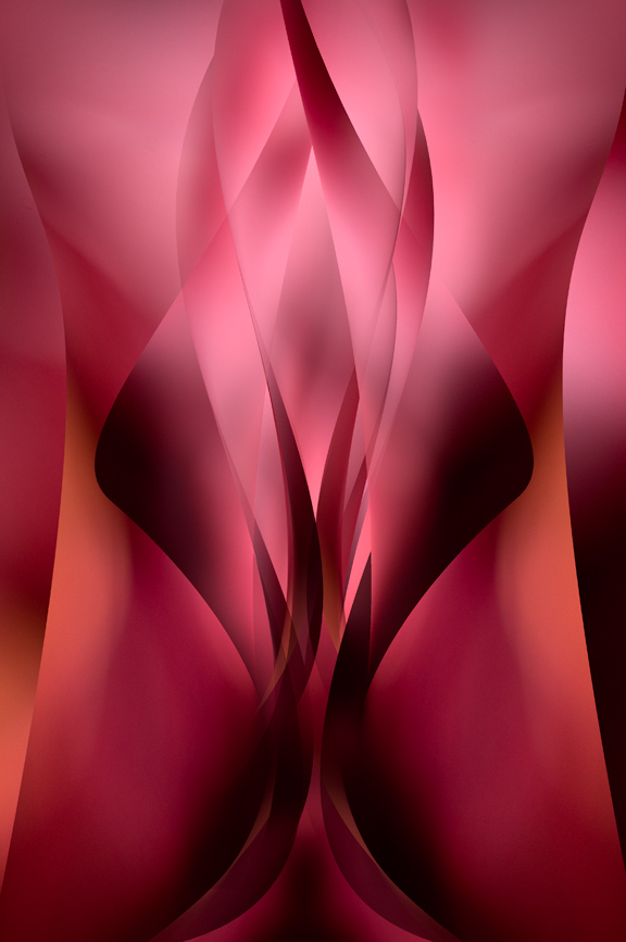 Unfolding ©Kathy Beal