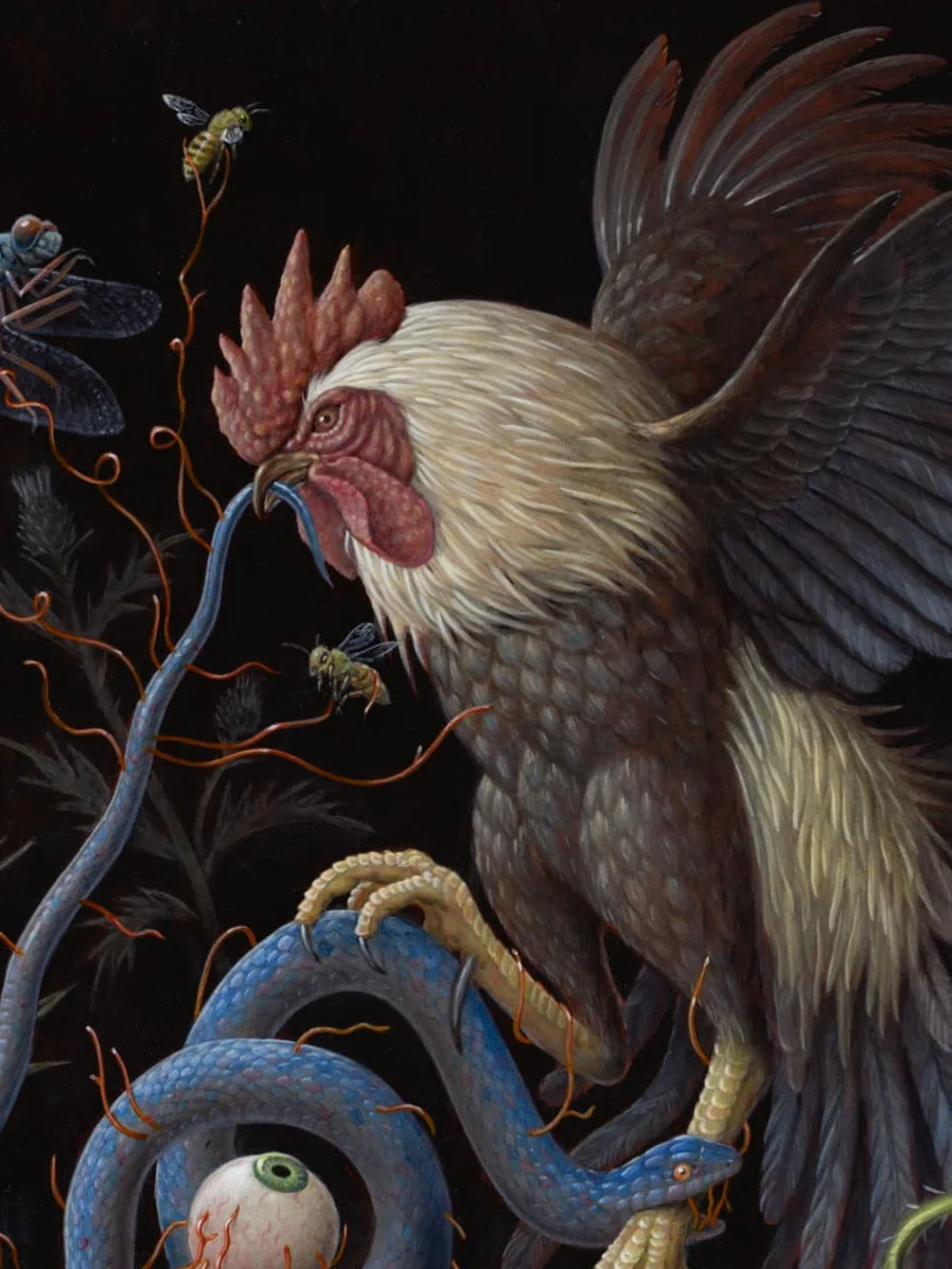 Rooster__Web.jpg