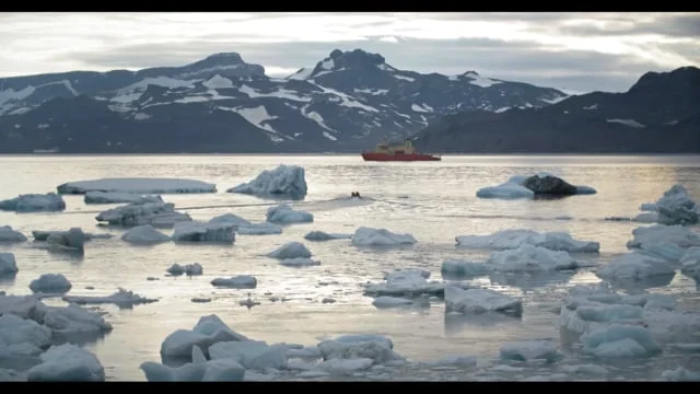 Expedition Antarctic