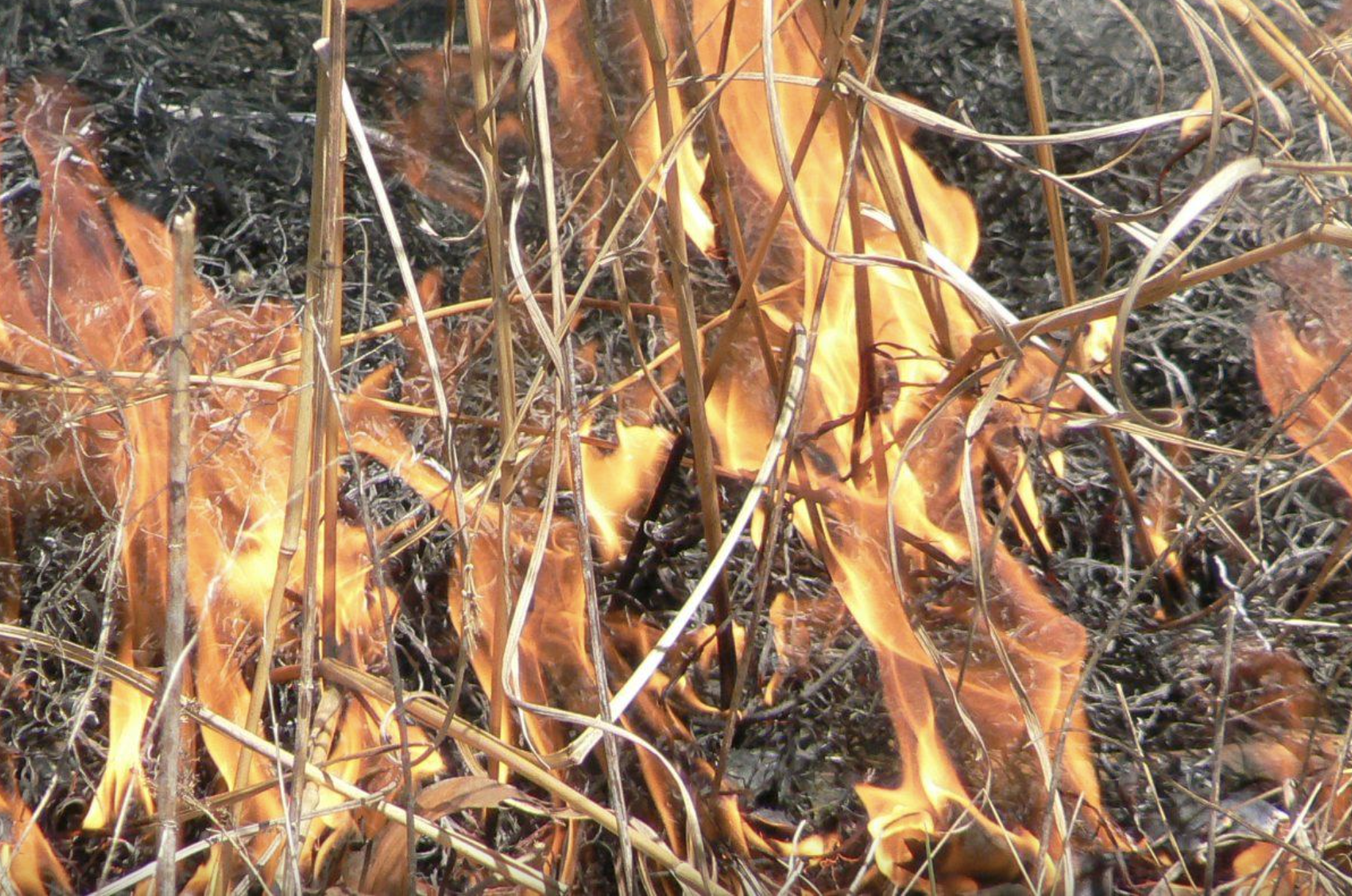 Screen Shot 2026-03-31 at 3.06.58 PM.png