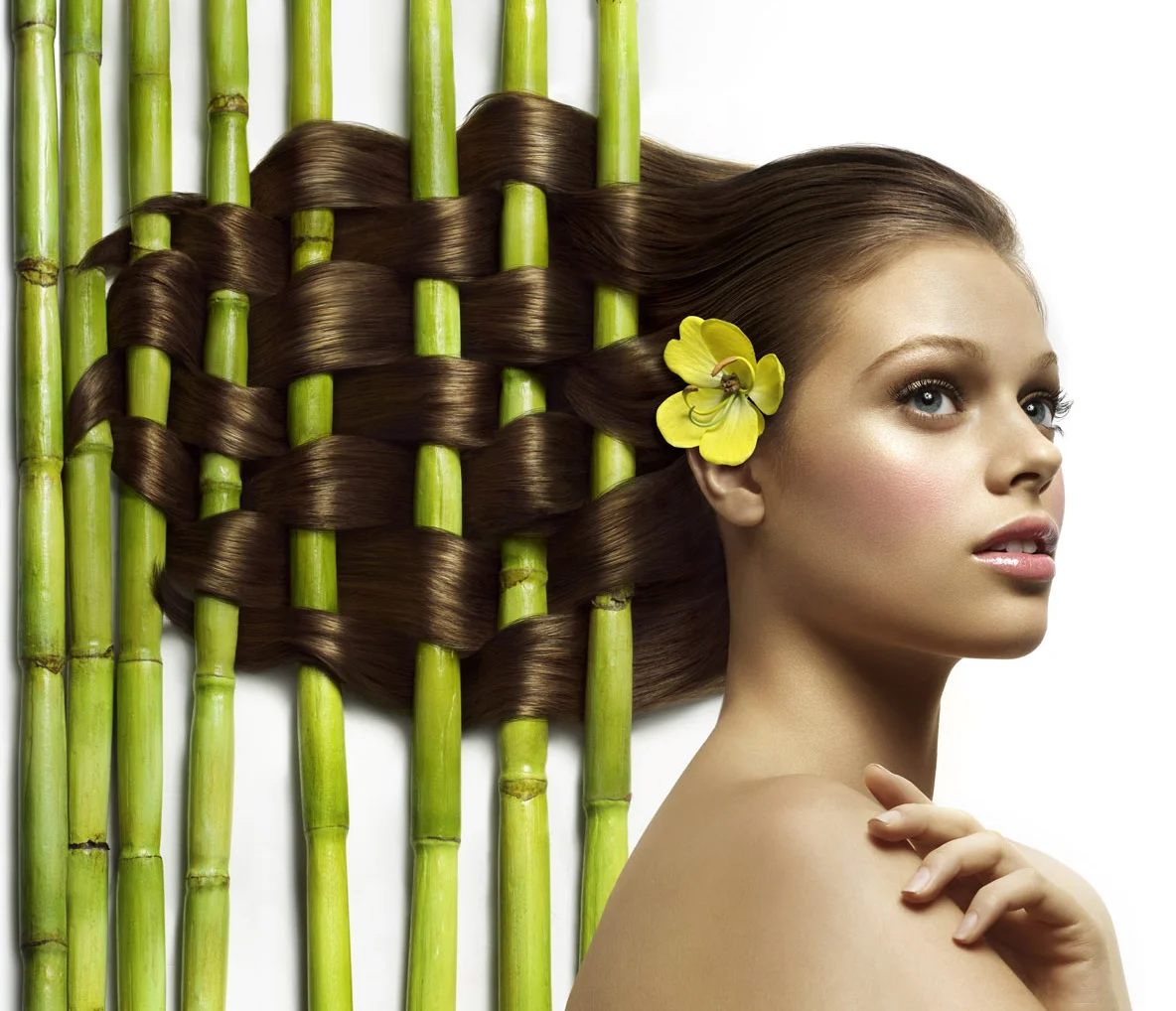 SUGARCANE NATURE FUSION