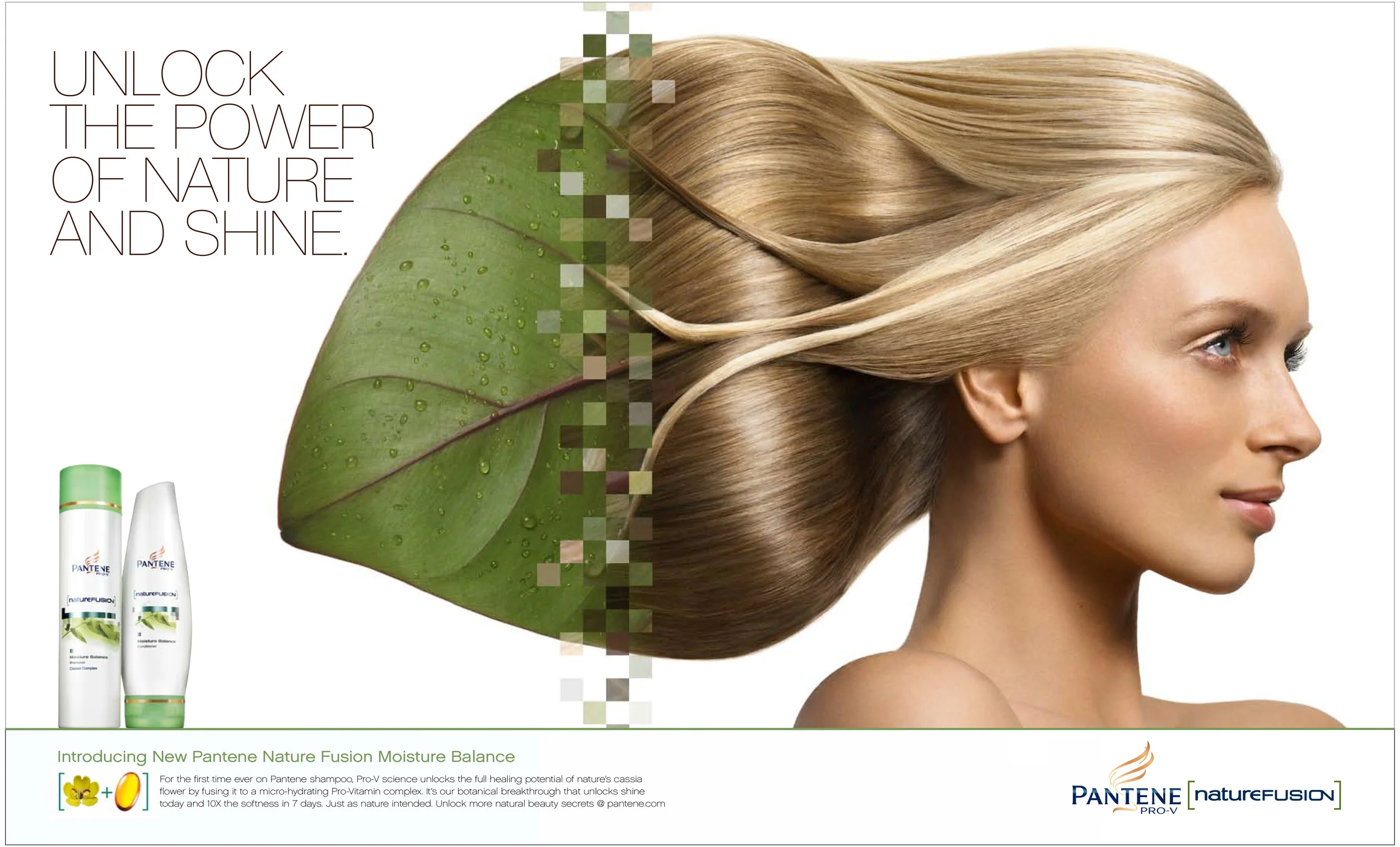 LEAFNF SPREADS-2.jpg