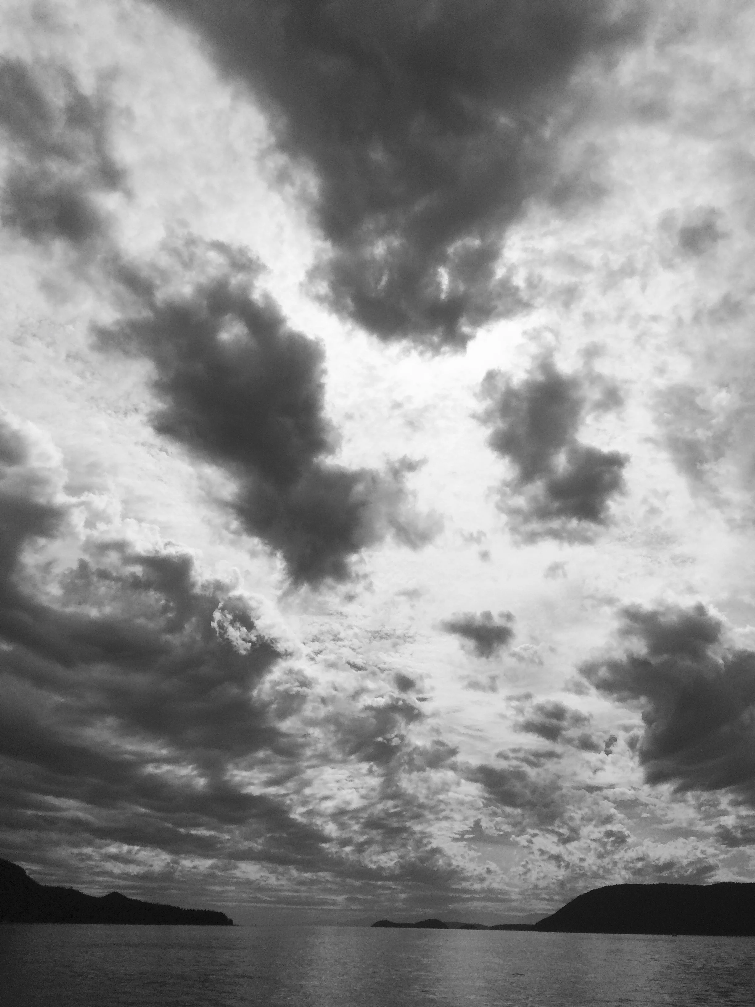 IMG_4836.jpeg