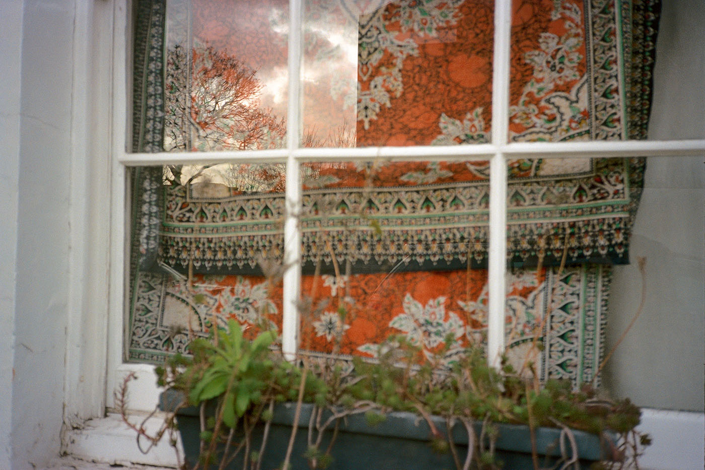 Wilson_7_TextileWindow_Web.jpg