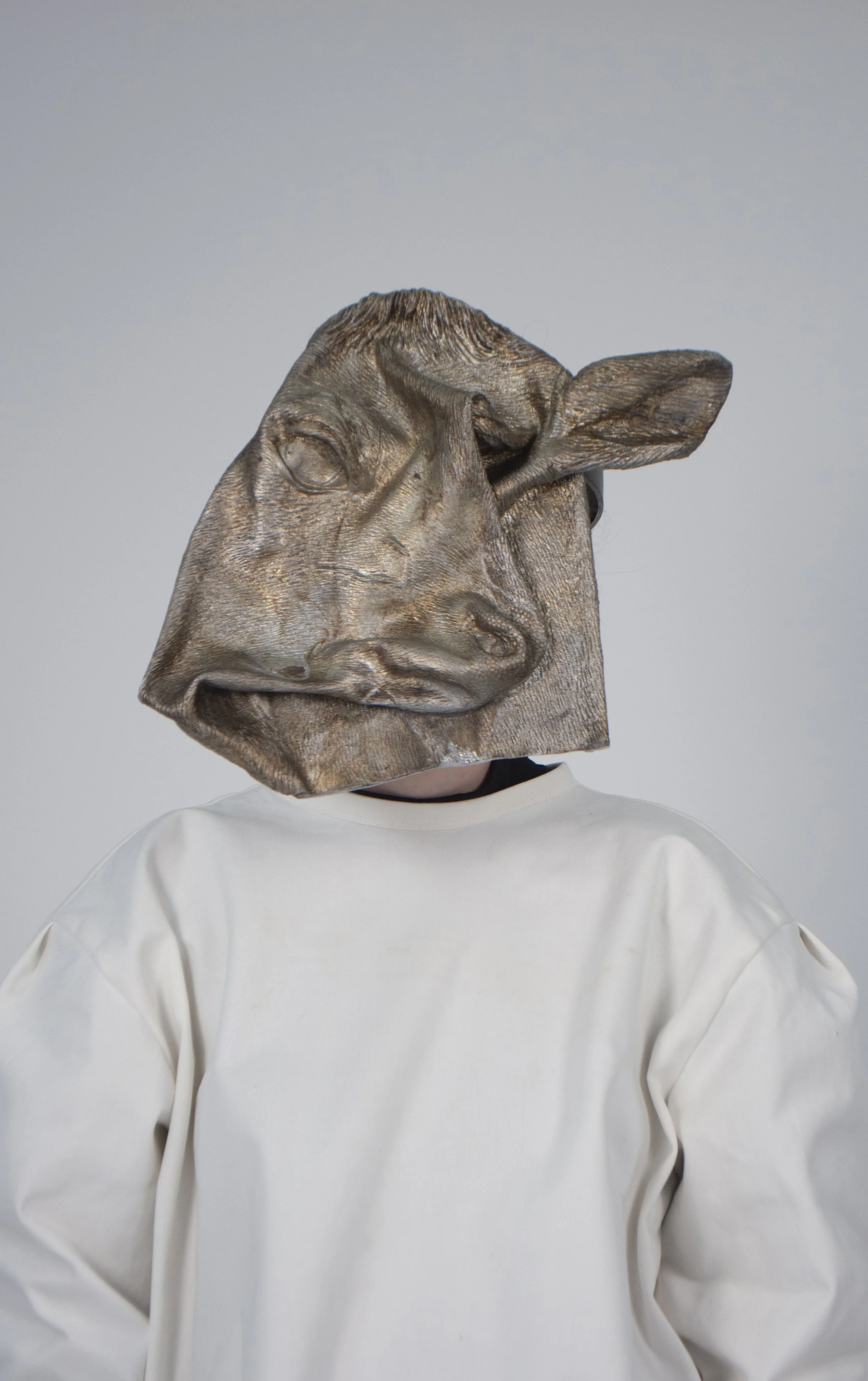 close up mask copy.jpg