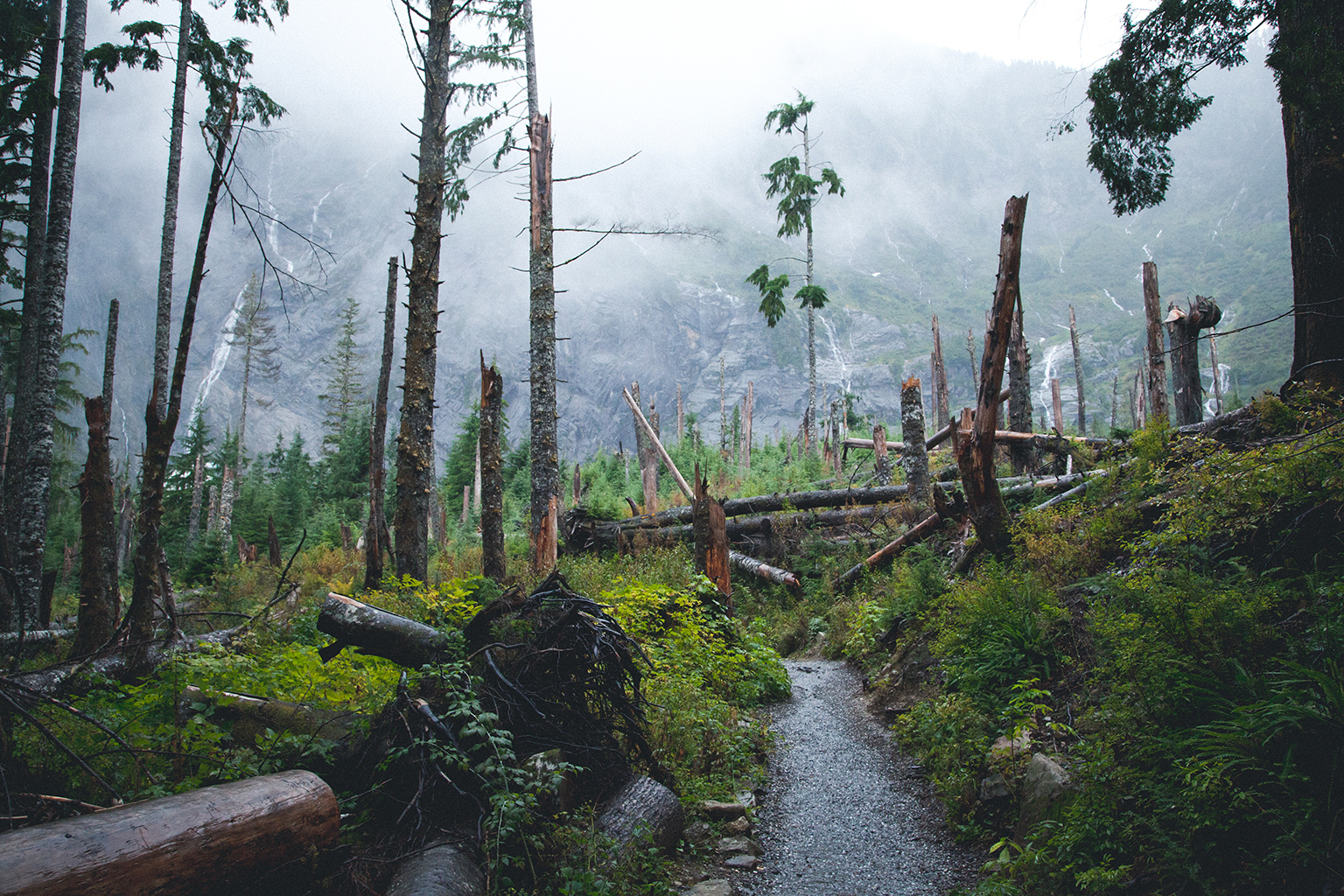 Snoqualmie National Forest