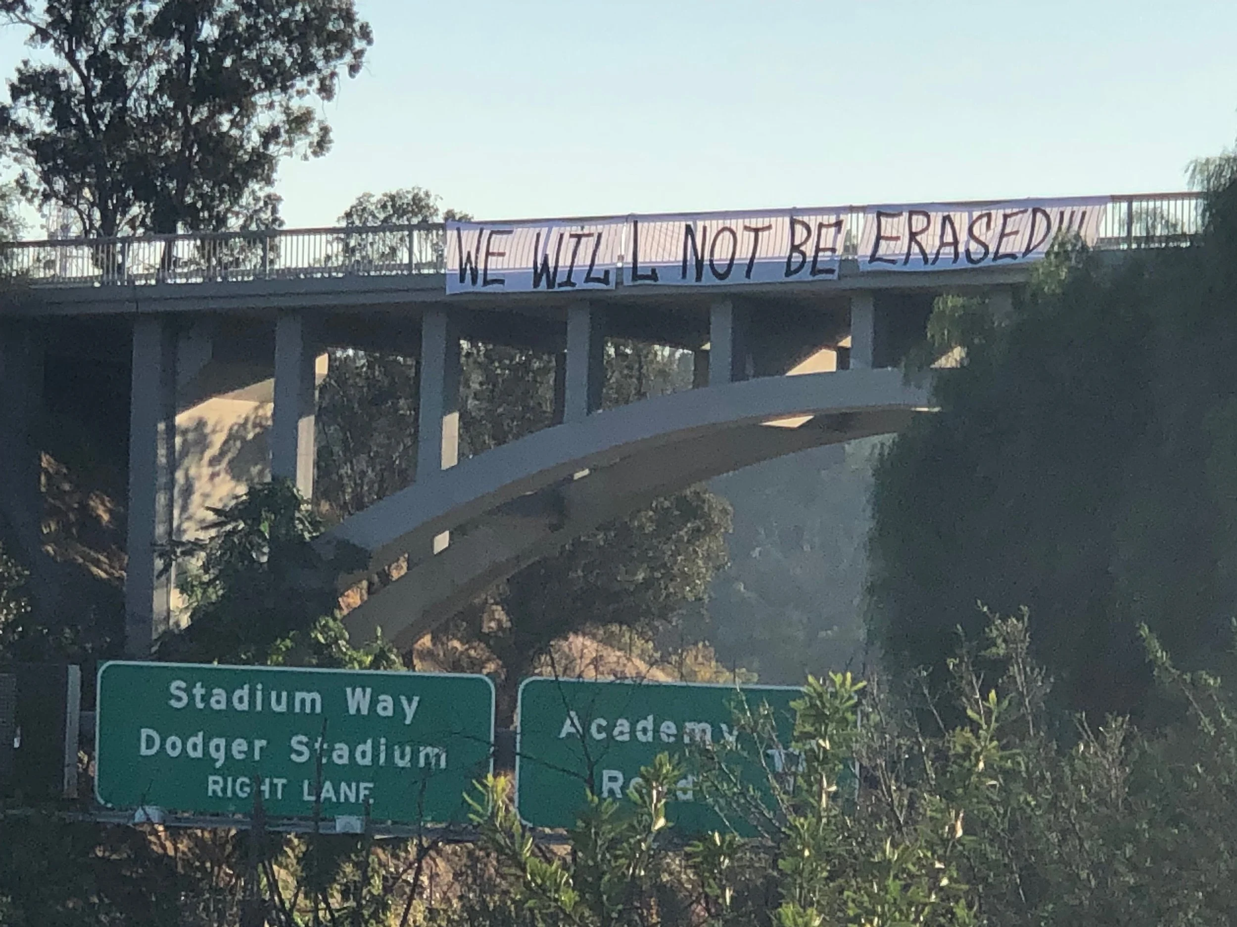 Trans Latina Banner 003.jpg