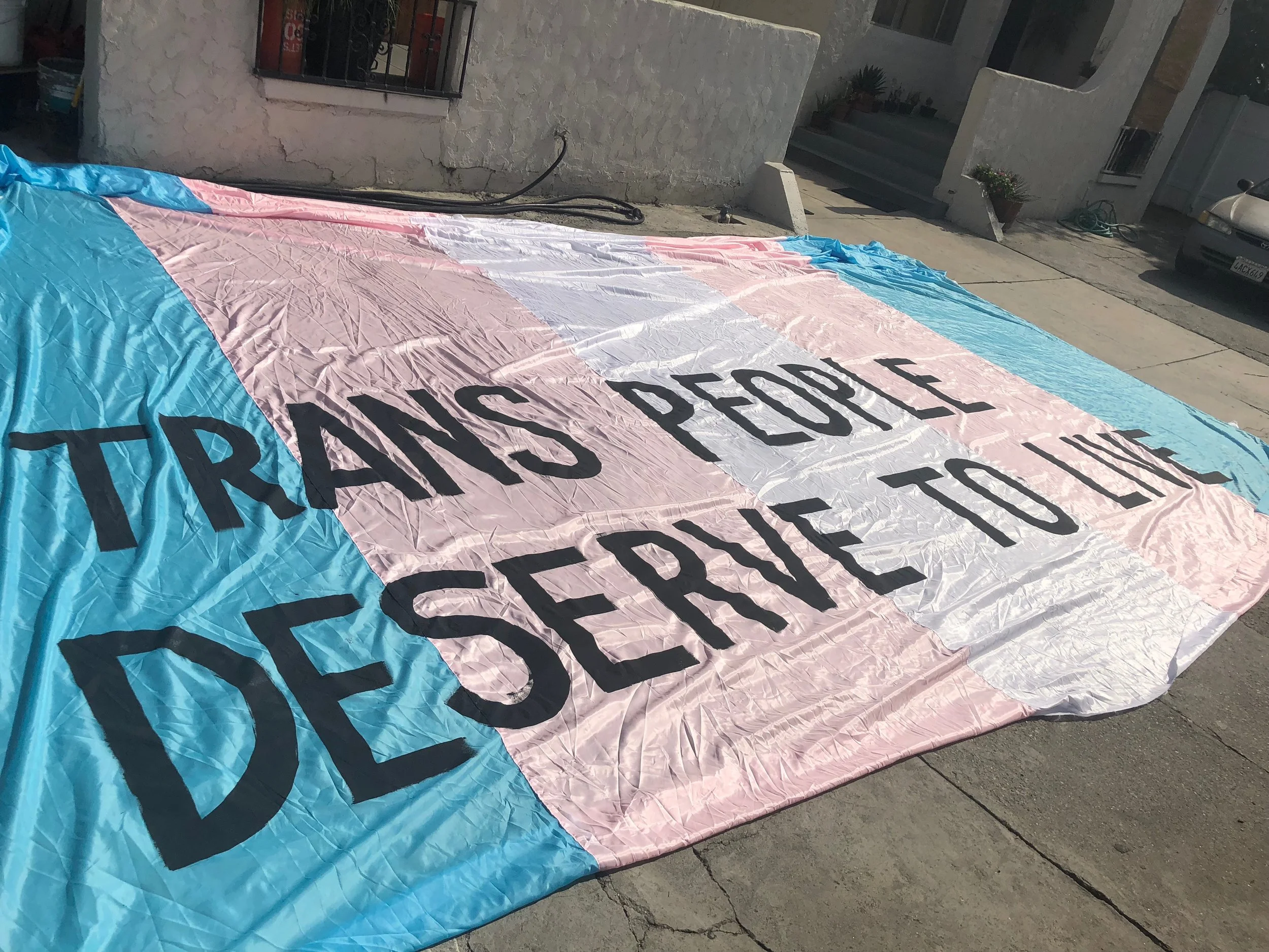 Trans Latina Banner 001.jpg