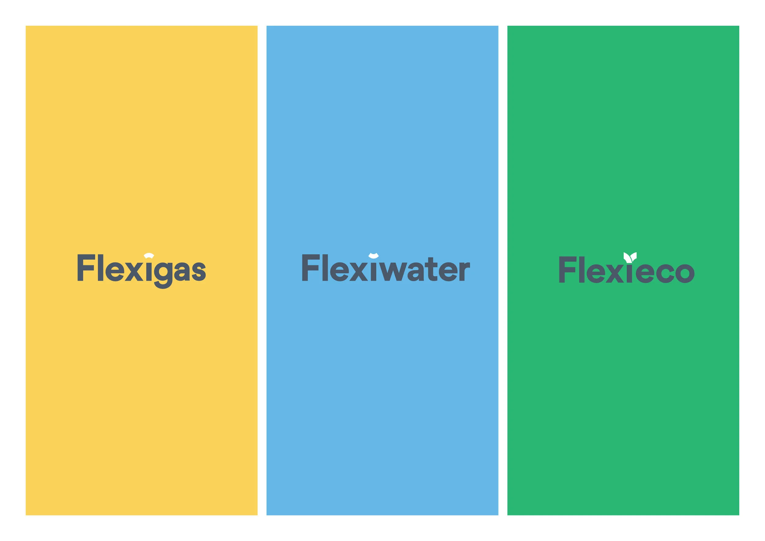Flexi Logo - Presentation3.jpg