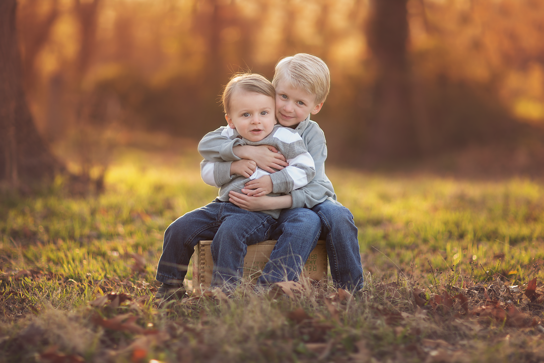 Harvest photoshop actions for photographers
