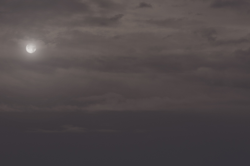 moondance.jpg