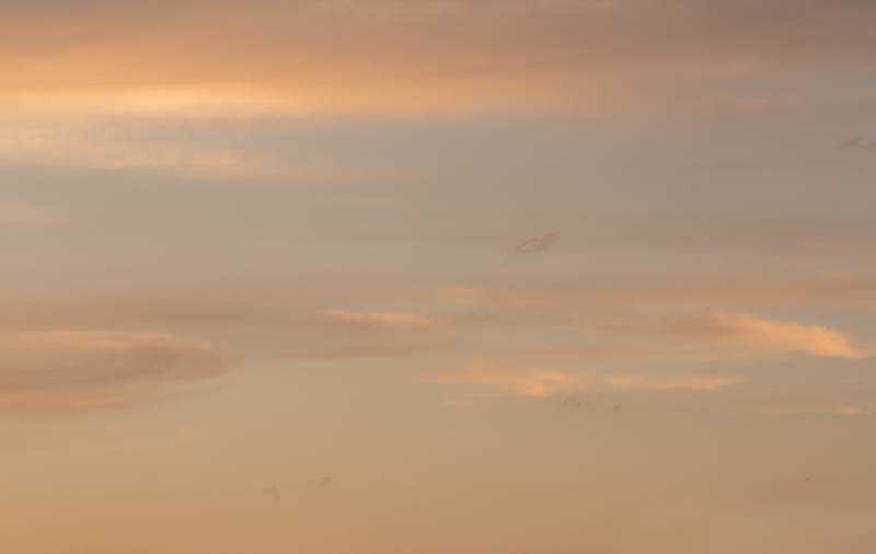 Desert dusk.jpg
