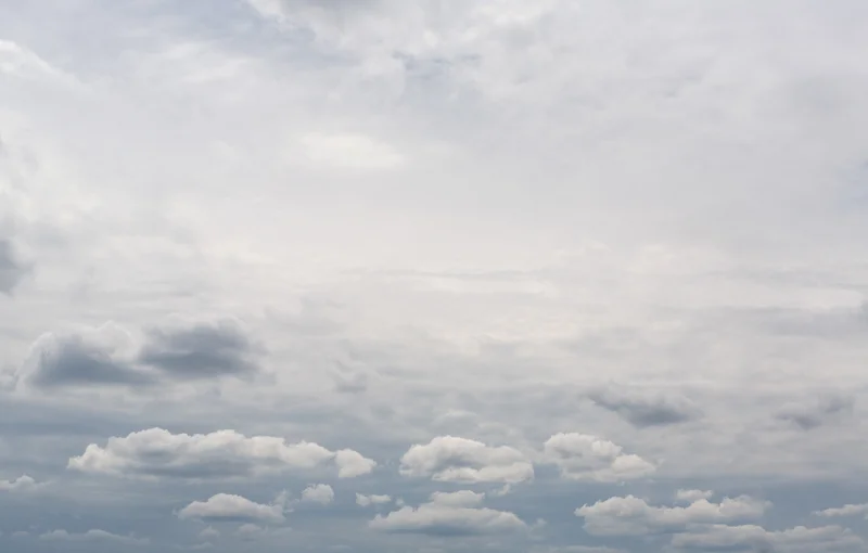 Glory in the fog.jpg