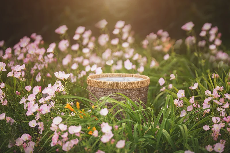 Baby in Flowers.jpg