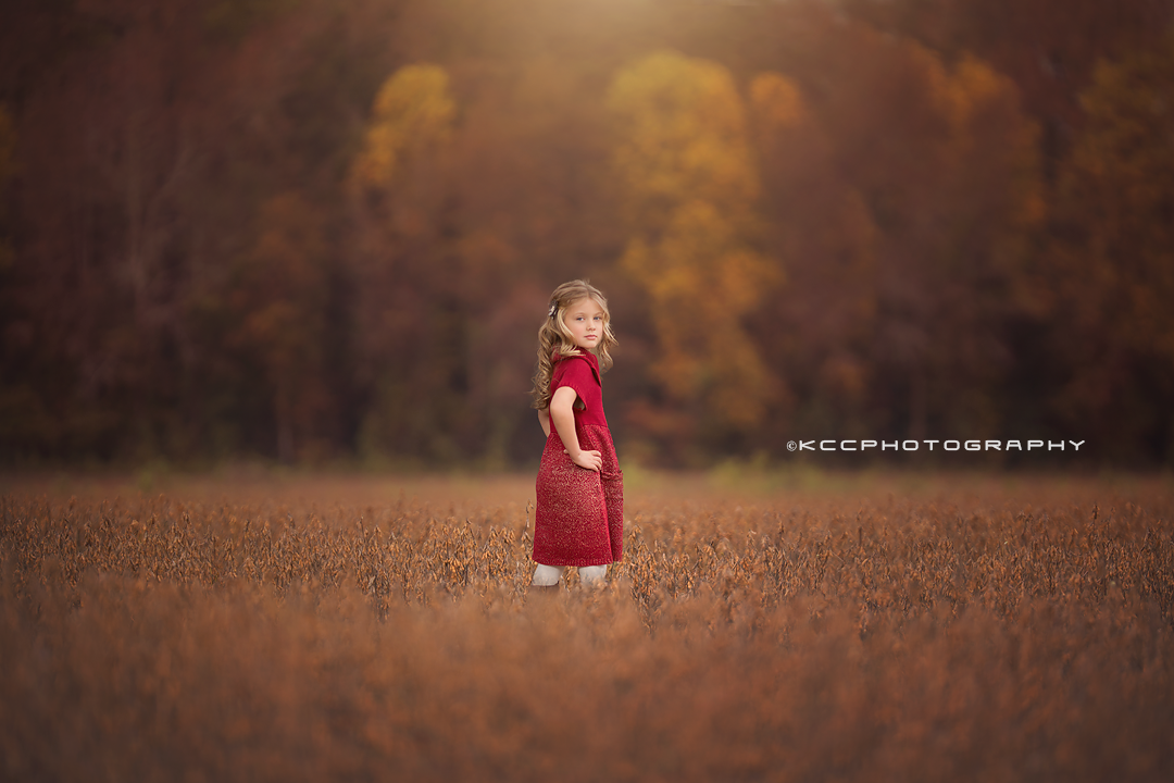 Fall Harvest copy.png