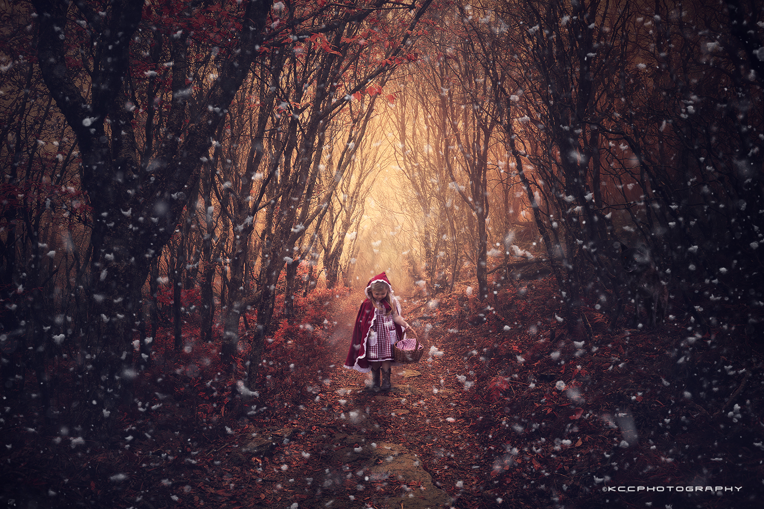 Snow Brushes for photoshop