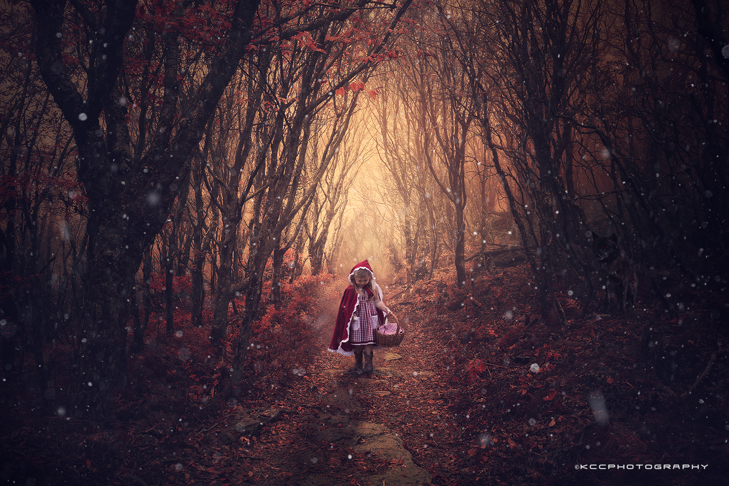 Snow Brushes for photoshop