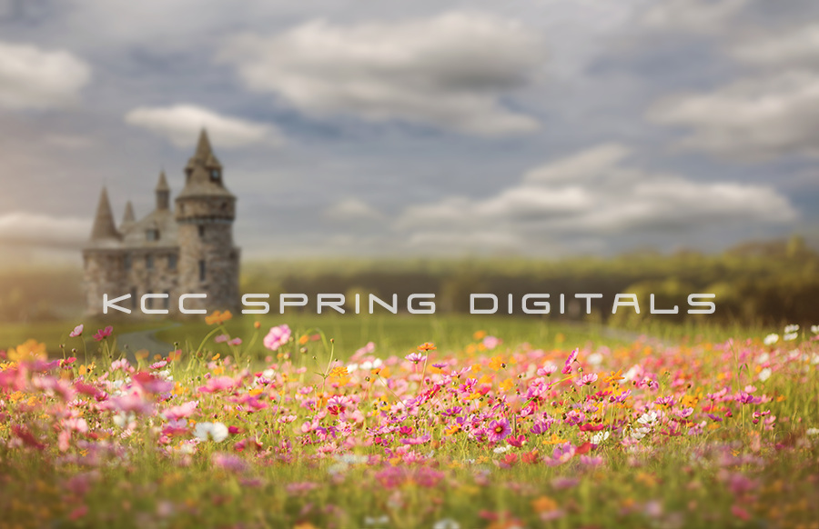 Spring 5.png