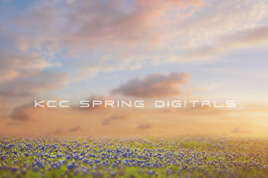 Spring 9.png