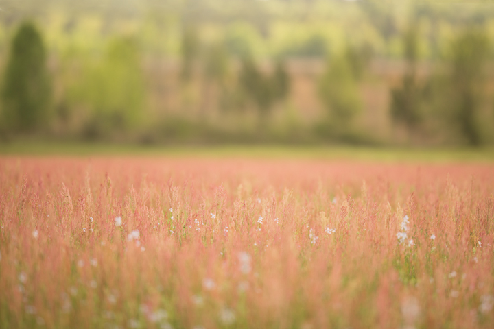 Spring 9.jpg