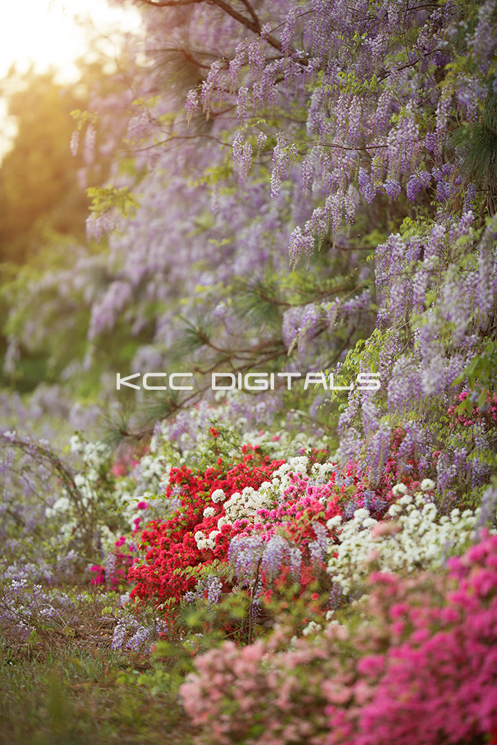 Spring Add on 18small.png