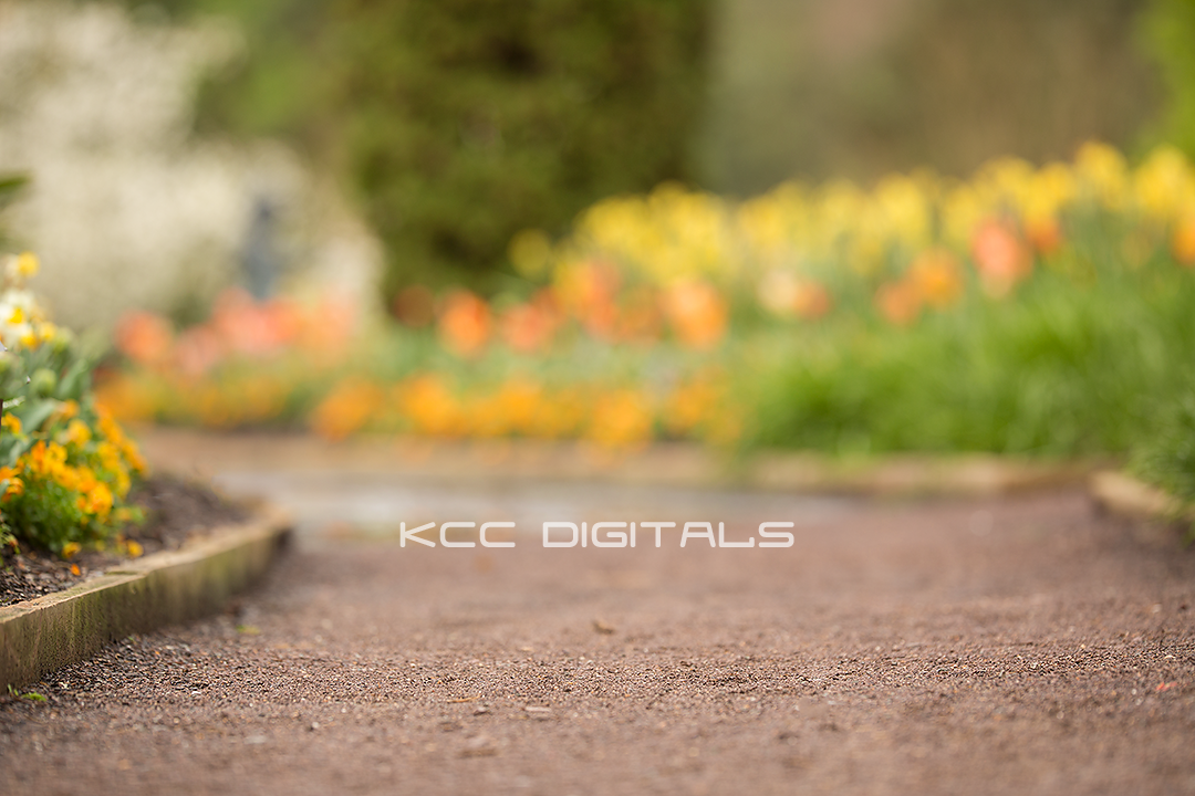 Spring add on 14small.jpg