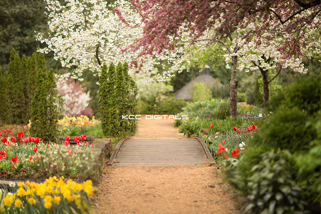 Spring add on 15small.png