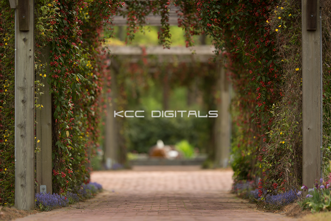 Spring add on 13small.png