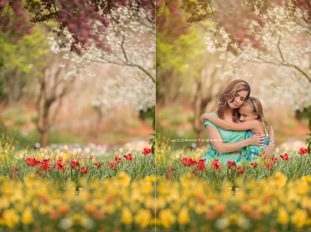 Digital Backgrounds For Photography