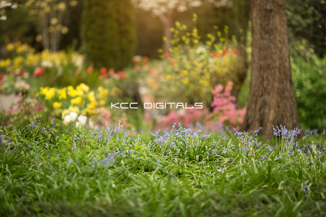 Spring Add on 16small.png