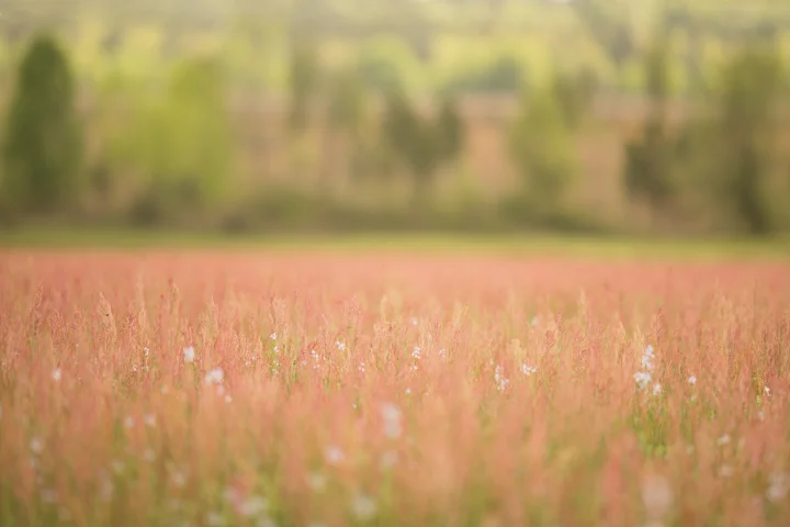 Spring 9.jpg