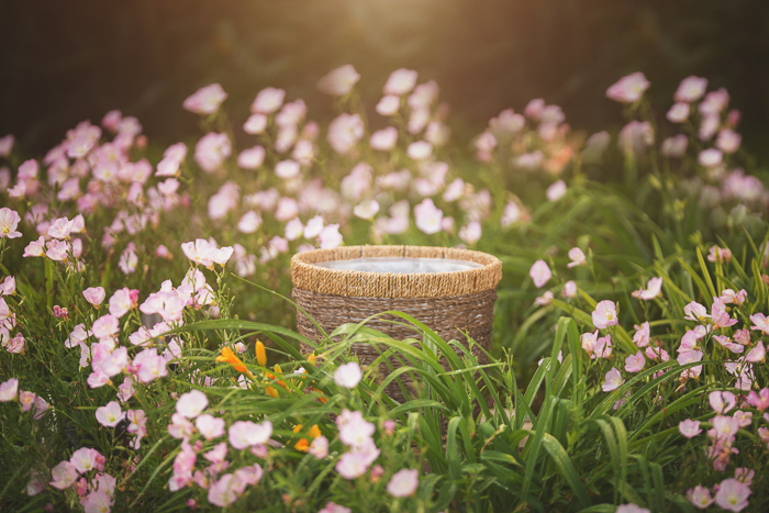 Newborn Digital backgrounds & Backdrops for Photoshop