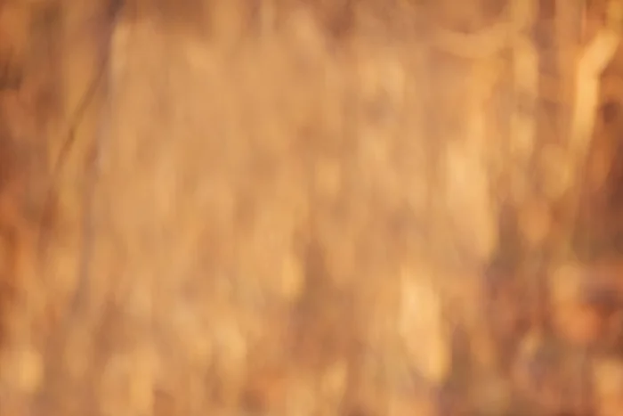 Fire behind us.jpg