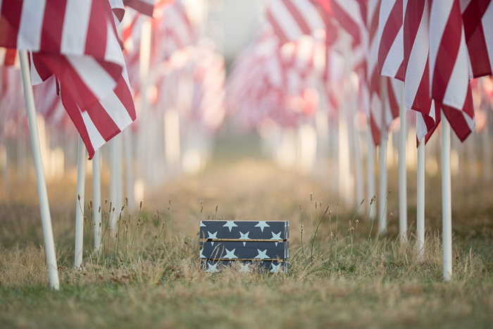 Flag field Digital backgrounds & Backdrops for Photoshop