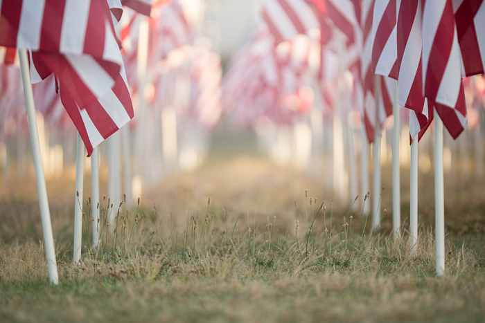 Flag Field Summer digital backgrounds