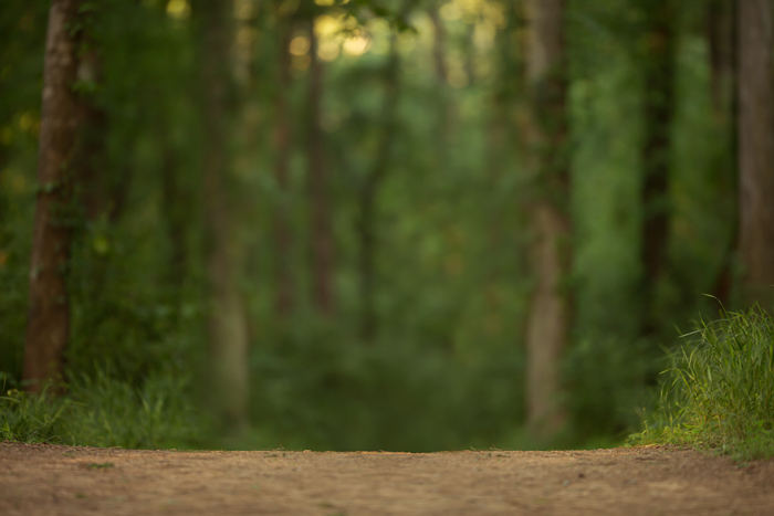 Summer trails Digital backgrounds & Backdrops for Photoshop